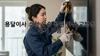 용달이사 소형 운송: 창원 마산 교방동 후기 모음