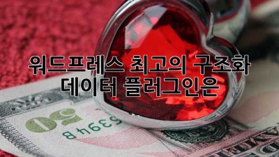 워드프레스 최고의 구조화 데이터 플러그인은?