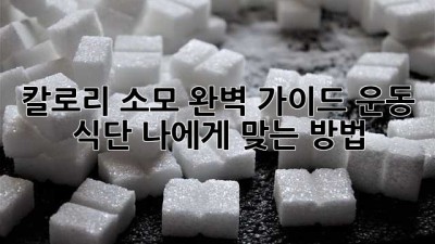 칼로리 소모 완벽 가이드: 운동, 식단, 나에게 맞는 방법